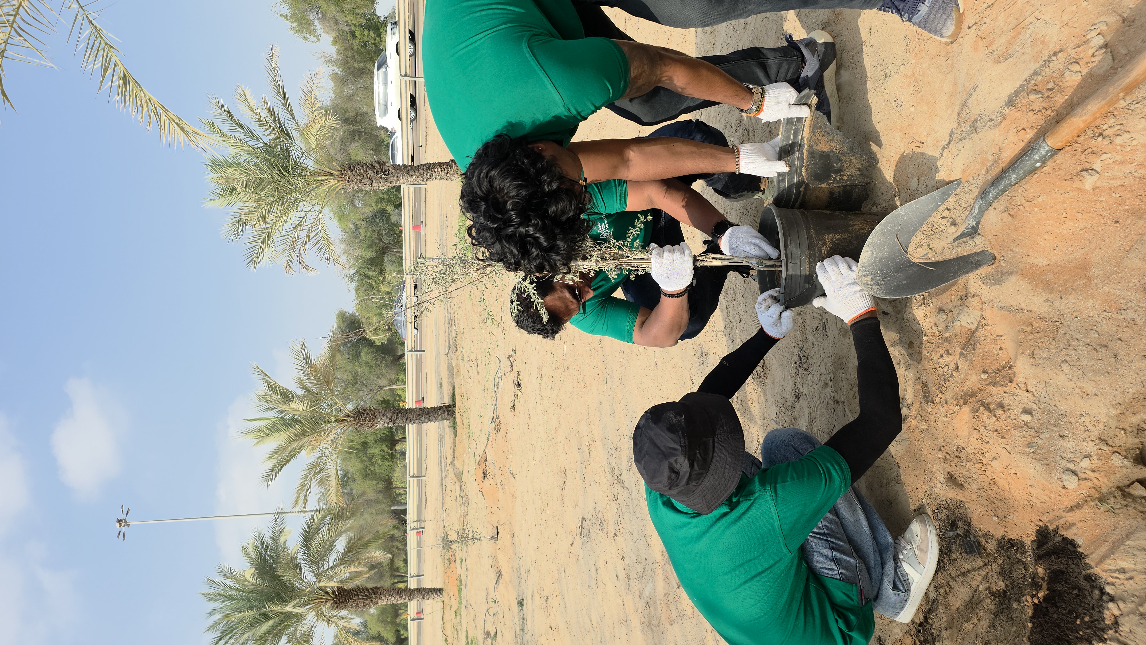 Tree Planting 9